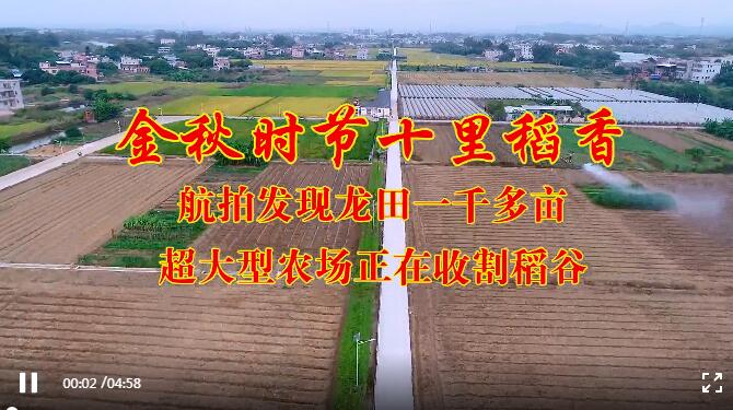 金秋時(shí)節(jié)十里稻香，航拍發(fā)現(xiàn)龍?zhí)镆磺Ф喈€超大型農(nóng)場(chǎng)正在收割稻谷